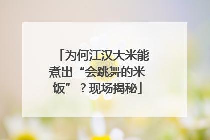 为何江汉大米能煮出“会跳舞的米饭”？现场揭秘