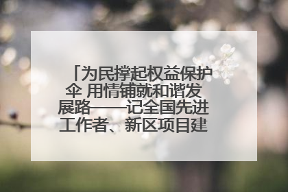 为民撑起权益保护伞 用情铺就和谐发展路——记全国先进工作者、新区项目建设中心干部卢小勇