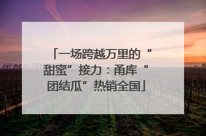 一场跨越万里的“甜蜜”接力：甬库“团结瓜”热销全国