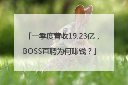 一季度营收19.23亿，BOSS直聘为何赚钱？