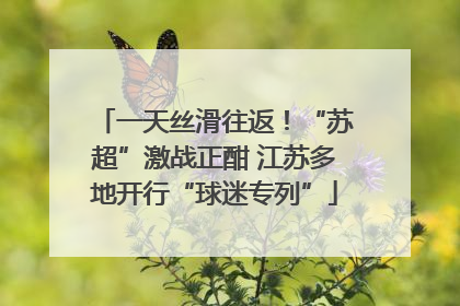 一天丝滑往返！“苏超”激战正酣 江苏多地开行“球迷专列”