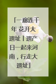 一廊连千年 花开大遗址丨遗产日一起来河南，行走大遗址