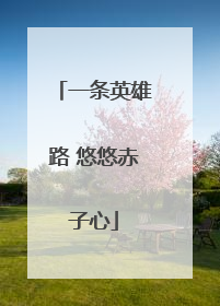 一条英雄路 悠悠赤子心