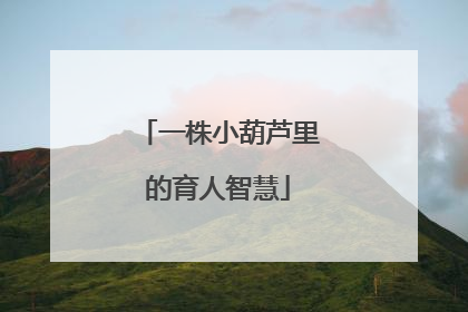 一株小葫芦里的育人智慧