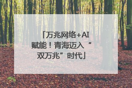 万兆网络+AI赋能！青海迈入“双万兆”时代