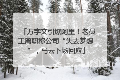 万字文引爆阿里！老员工离职称公司“失去梦想”，马云下场回应