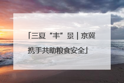三夏“丰”景｜京冀携手共助粮食安全