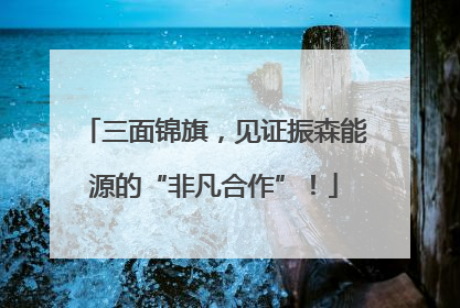 三面锦旗，见证振森能源的“非凡合作”！