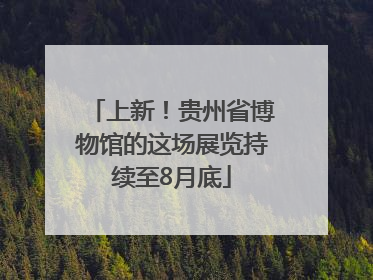 上新！贵州省博物馆的这场展览持续至8月底