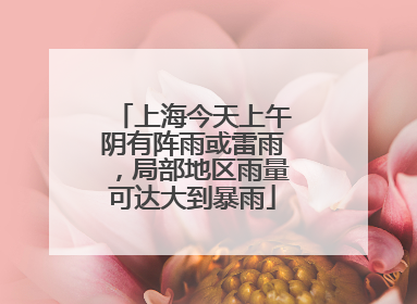 上海今天上午阴有阵雨或雷雨，局部地区雨量可达大到暴雨