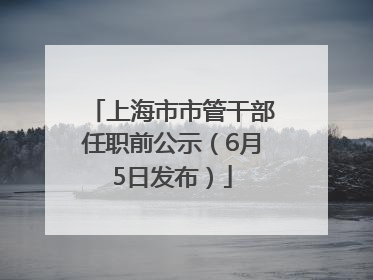 上海市市管干部任职前公示（6月5日发布）
