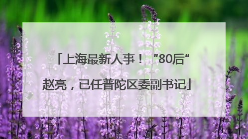 上海最新人事！“80后”赵亮，已任普陀区委副书记