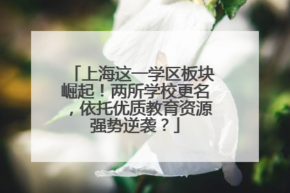 上海这一学区板块崛起！两所学校更名，依托优质教育资源强势逆袭？