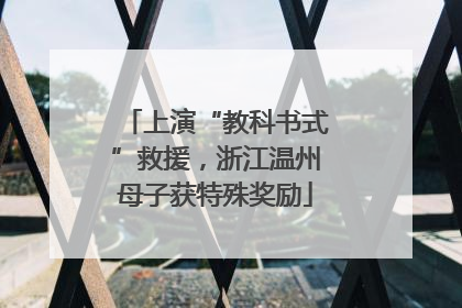 上演“教科书式”救援，浙江温州母子获特殊奖励
