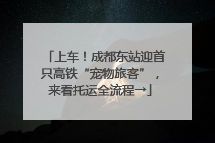 上车！成都东站迎首只高铁“宠物旅客”，来看托运全流程→