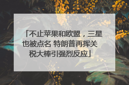 不止苹果和欧盟，三星也被点名 特朗普再挥关税大棒引强烈反应
