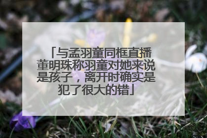 与孟羽童同框直播 董明珠称羽童对她来说是孩子，离开时确实是犯了很大的错