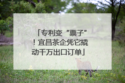 专利变“票子”！宜昌茶企凭它撬动千万出口订单