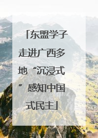 东盟学子走进广西多地“沉浸式”感知中国式民主