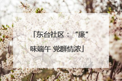 东台社区：“廉”味端午 党群情浓