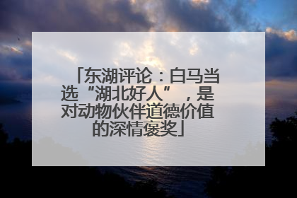 东湖评论：白马当选“湖北好人”，是对动物伙伴道德价值的深情褒奖