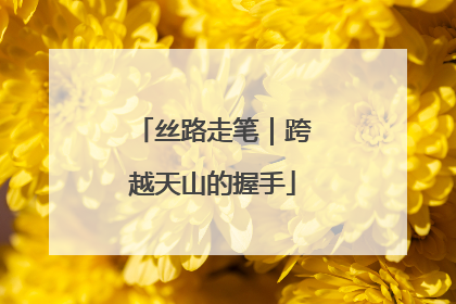 丝路走笔｜跨越天山的握手