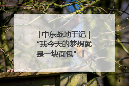 中东战地手记｜“我今天的梦想就是一块面包”