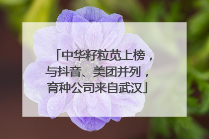 中华籽粒苋上榜，与抖音、美团并列，育种公司来自武汉
