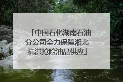 中国石化湖南石油分公司全力保障湘北抗洪抢险油品供应