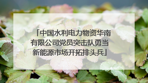中国水利电力物资华南有限公司党员突击队勇当新能源市场开拓排头兵