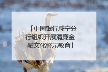 中国银行咸宁分行组织开展清廉金融文化警示教育