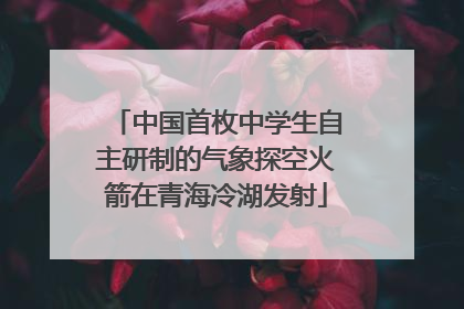 中国首枚中学生自主研制的气象探空火箭在青海冷湖发射