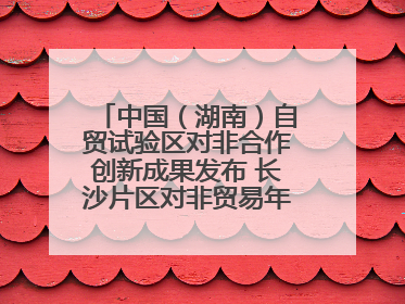 中国（湖南）自贸试验区对非合作创新成果发布 长沙片区对非贸易年均增长141%