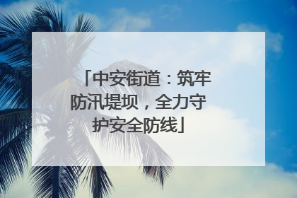 中安街道：筑牢防汛堤坝，全力守护安全防线