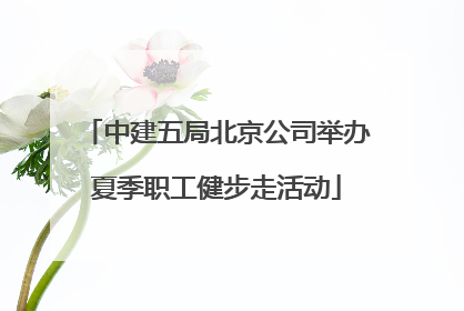 中建五局北京公司举办夏季职工健步走活动