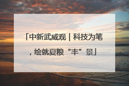 中新武威观｜科技为笔，绘就夏粮“丰”景
