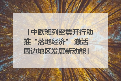 中欧班列密集开行助推“落地经济” 激活周边地区发展新动能