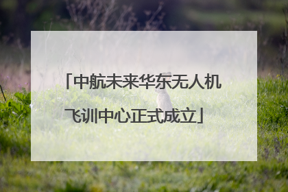 中航未来华东无人机飞训中心正式成立