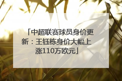 中超联赛球员身价更新：王钰栋身价大幅上涨110万欧元