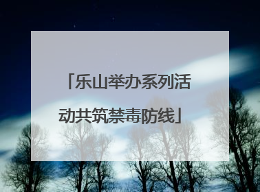 乐山举办系列活动共筑禁毒防线
