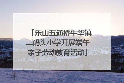 乐山五通桥牛华镇二码头小学开展端午亲子劳动教育活动