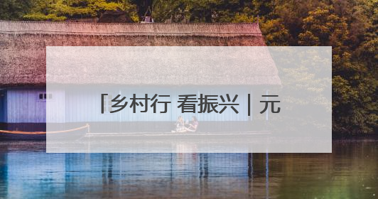 乡村行 看振兴｜元江：早熟芒果销售旺