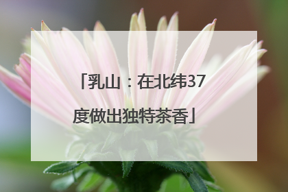 乳山：在北纬37度做出独特茶香