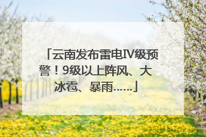 云南发布雷电Ⅳ级预警！9级以上阵风、大冰雹、暴雨……