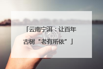 云南宁洱：让百年古树“老有所依”
