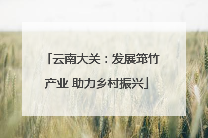 云南大关：发展筇竹产业 助力乡村振兴