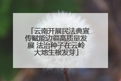 云南开展民法典宣传赋能边疆高质量发展 法治种子在云岭大地生根发芽
