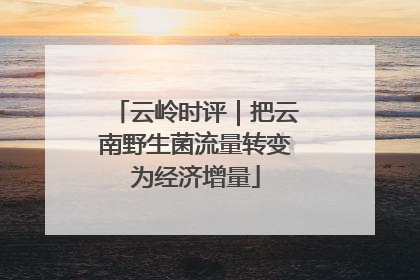 云岭时评｜把云南野生菌流量转变为经济增量