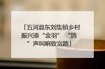 五河县东刘集镇乡村振兴添“金羽” “鸽”声叫响致富路