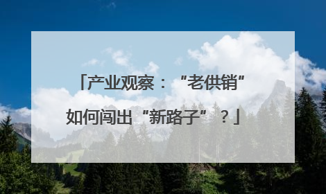 产业观察：“老供销”如何闯出“新路子”？